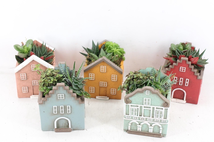 <h4>arr3 SN - Casa scandinavian groot</h4>