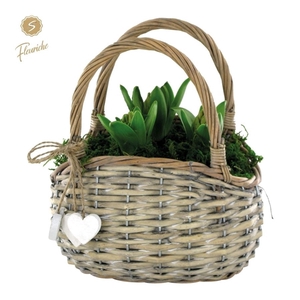 (3701) Hyacint Basket with Handle 3PP Mos