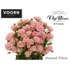 R TR SWEET FLOW