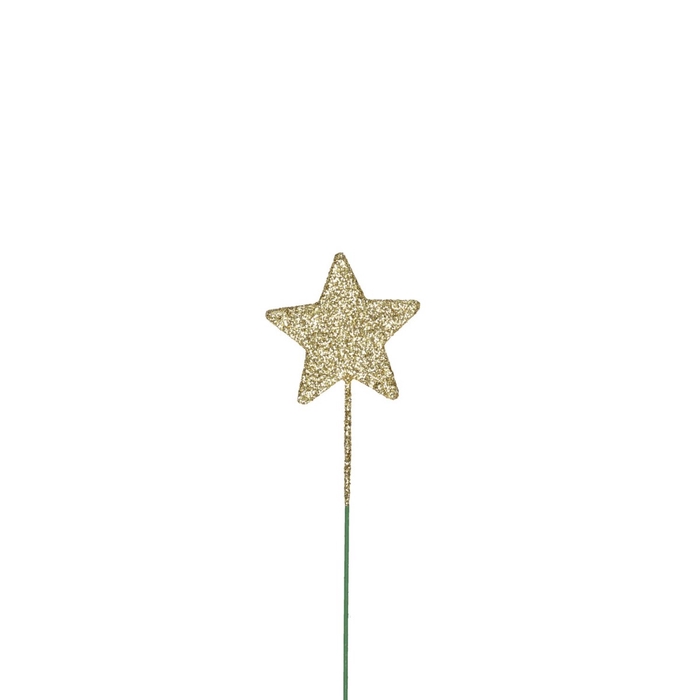 <h4>Christmas Deco star/wire 40mm x60</h4>