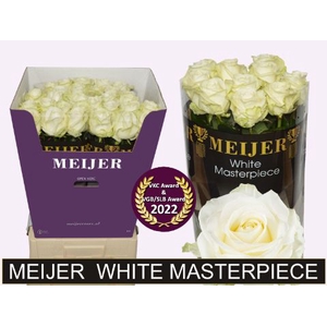 R Gr Avalanche White Masterpiece Meijer Super