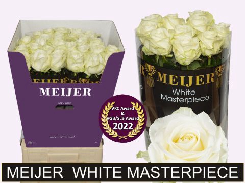 <h4>R Gr Avalanche White Masterpiece Meijer Super</h4>