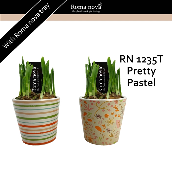 <h4>1235T - Pretty Pastel (Tete a Tete)</h4>