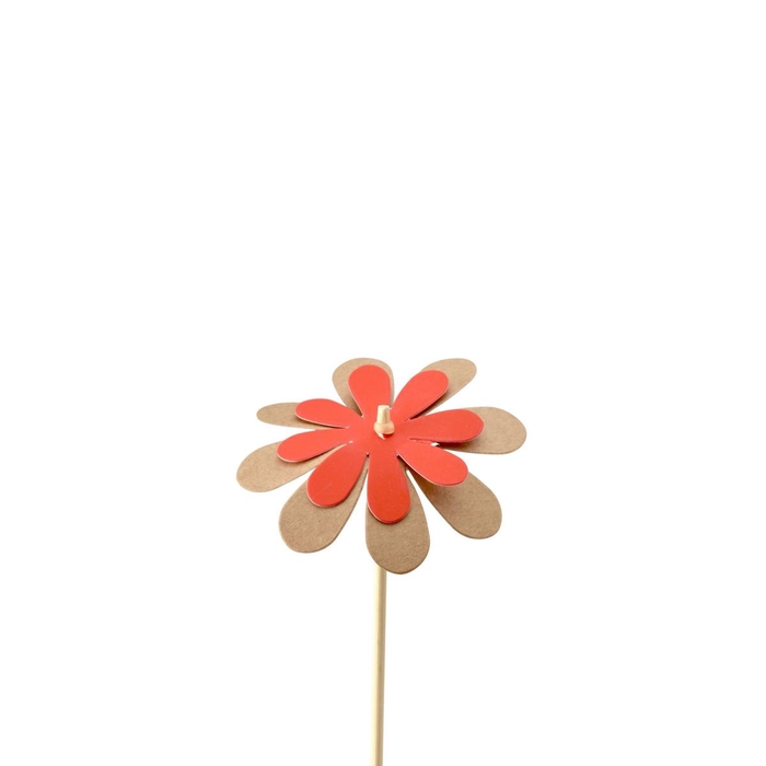 <h4>Sticks 50cm Flower kraft 8cm</h4>