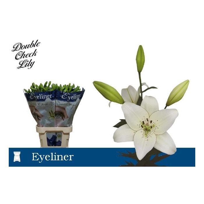 <h4>Li La Eyeliner</h4>