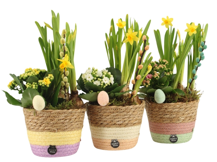 <h4>70762: Easter arrangement</h4>