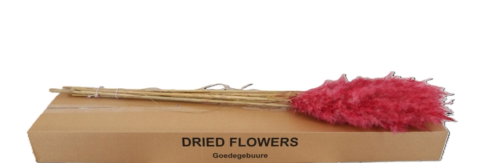 <h4>DROOGBL BEWERKT H%</h4>