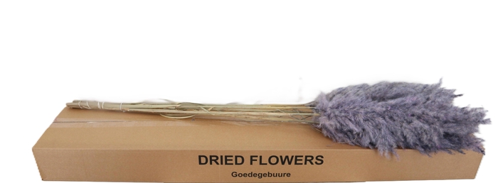 <h4>DROOGBL BEWERKT H%</h4>