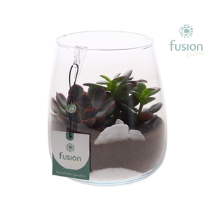 Glazen windlicht Alzada met succulenten