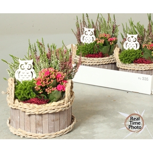 ARR TUINPLANTEN