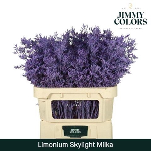 Lim Skylight L80 Milka