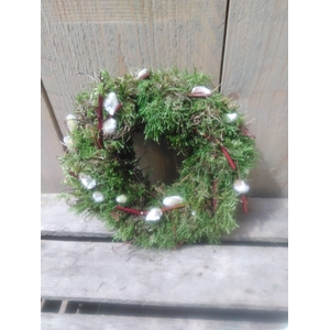 KRANZ 20 MOOS KÄTZ CORNUS 15CM