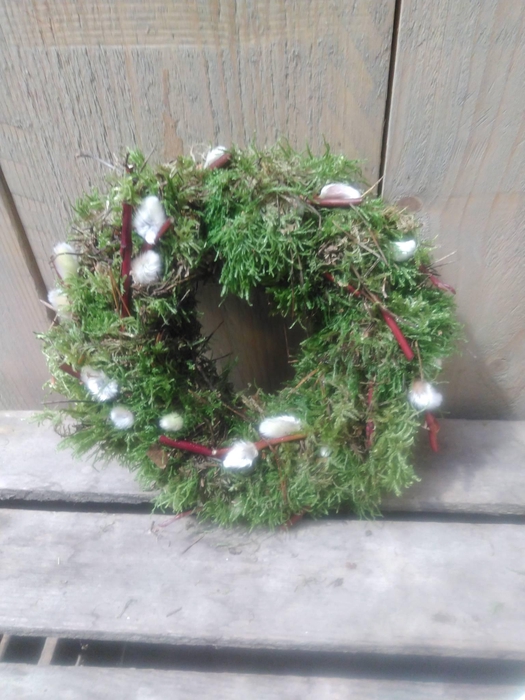 <h4>KRANZ 20 MOOS KÄTZ CORNUS 15CM</h4>