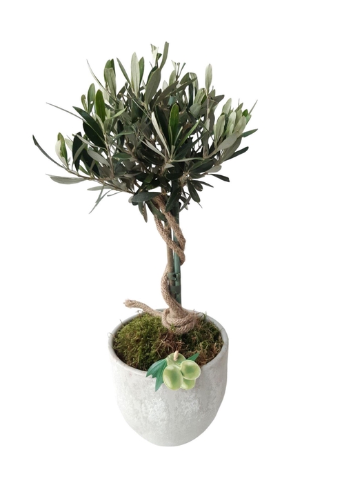 Arr.   Tuinplanten H%