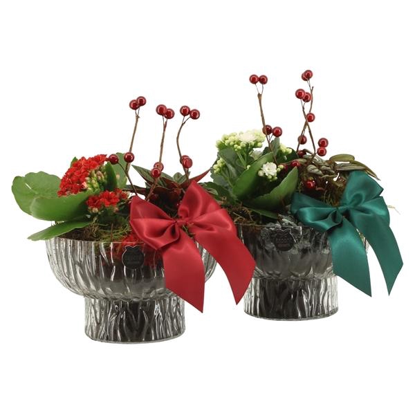 <h4>61800: X-mas arrangement</h4>