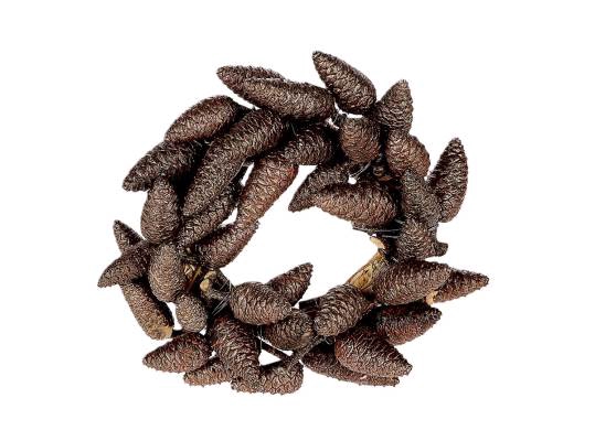 Wreath Wild Pinecone D20