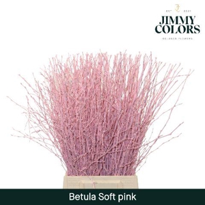 Betula L60 Soft Pink
