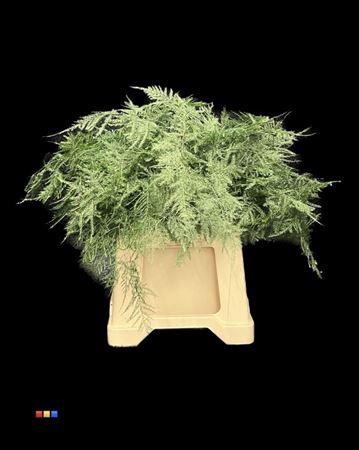 <h4>Asp 1e Metallic Green</h4>