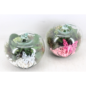 arr2 PL - Glazen appel x4 - roze/wit