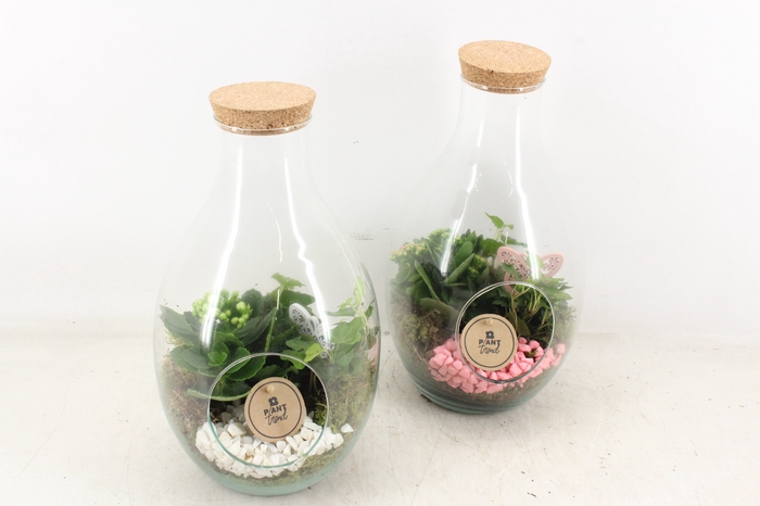 <h4>arr2 PL - Glas druppel vaas 999/4 - roze/wit</h4>