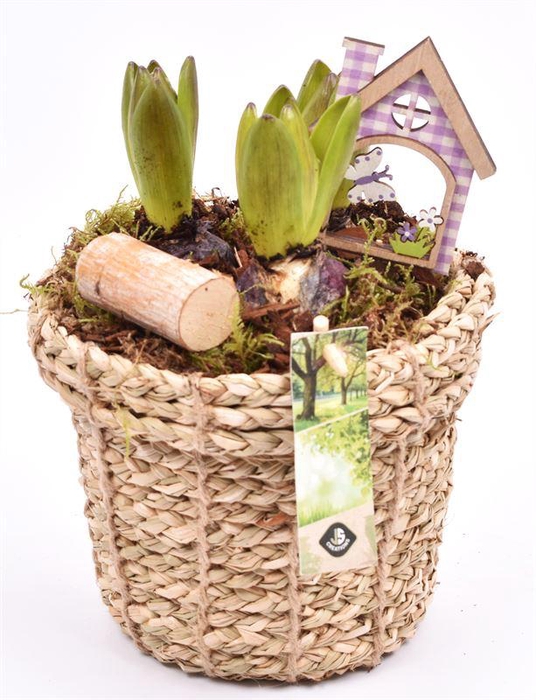 <h4>Touwmand met rand 17cm</h4>