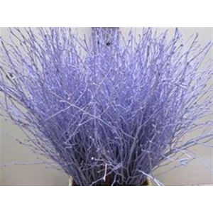 BERK LICHT MILKA L60