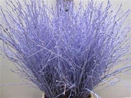 <h4>BERK LICHT MILKA L60</h4>