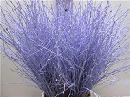 <h4>BERK LICHT MILKA L60</h4>