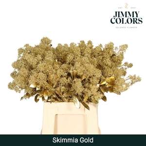 Skimmia Per Bos L45 Mtlc. Goud + Glitter