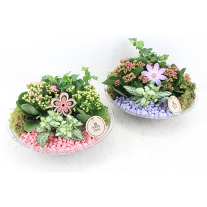 arr2 PL - Glas schaal 27cm - roze/lila