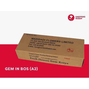 R GR GEM IN BOS (A2) 50