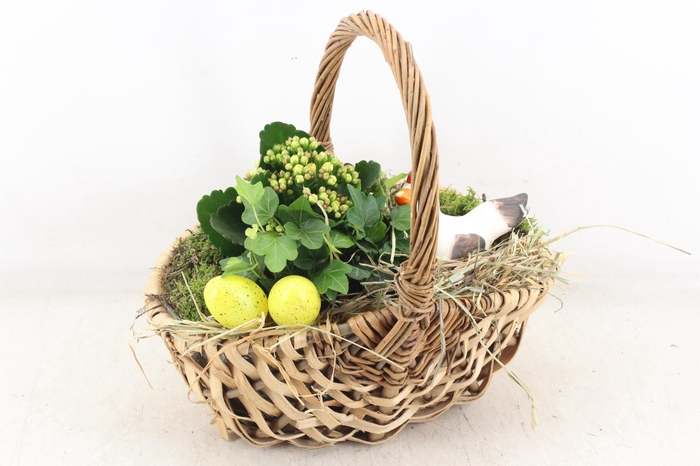 <h4>arr2 PL - Hengselmand 285/4</h4>