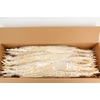 PF Amaranthus Hang Bleach Bs