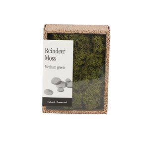 Ijslandmos (reindeer) Medium Green - Box S
