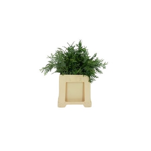 Conifeer Groen (5 Bos Per Emmer)