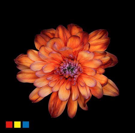 <h4>Chr T 2 Kl Baltica Bonaire</h4>