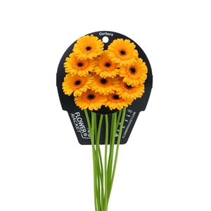 Ge Mi Tweety flowerracket