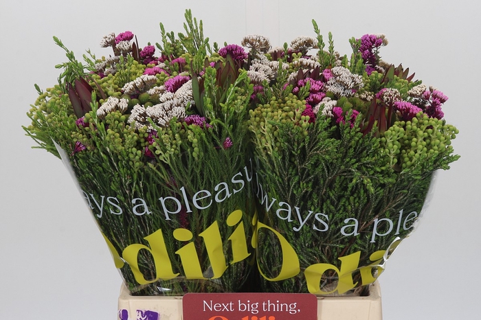 <h4>BQ Wild Flower</h4>