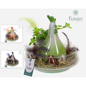 Green Bottle Iris Medium Pasen met arrangement