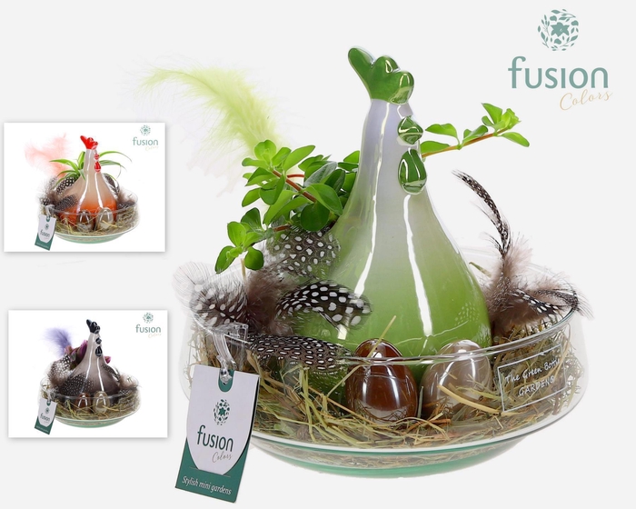 <h4>Green Bottle Iris Medium Pasen met arrangement</h4>