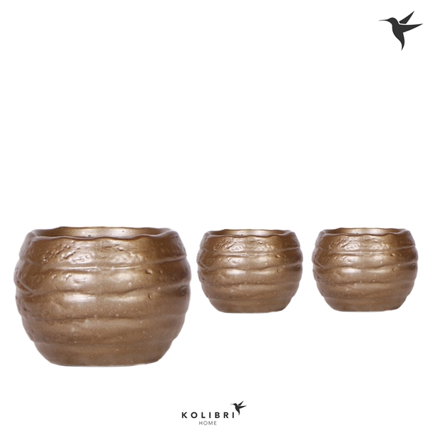 <h4>Kolibri Home Bee pot</h4>