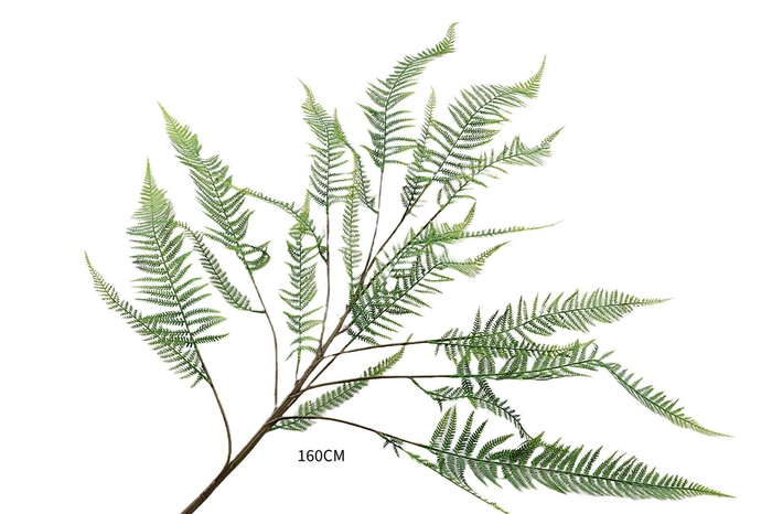 <h4>Fern Nephrolepis Branch Green LV330031GRN</h4>