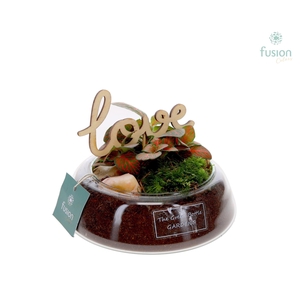 Green Bottle Christel Small Love met Fittonia