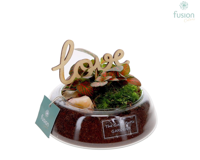 <h4>Green Bottle Christel Small Love met Fittonia</h4>