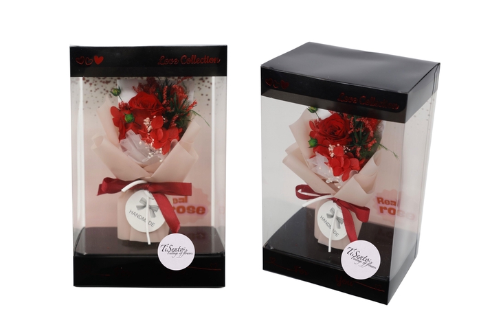 <h4>ARR ROSA POT H%</h4>