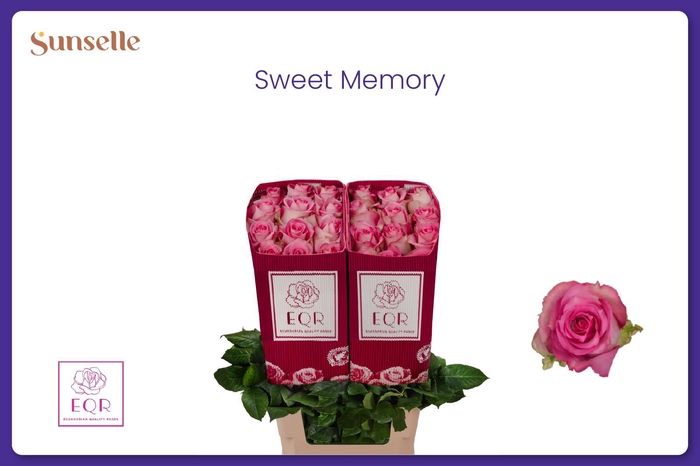 <h4>R GR SWEET MEMORY+</h4>