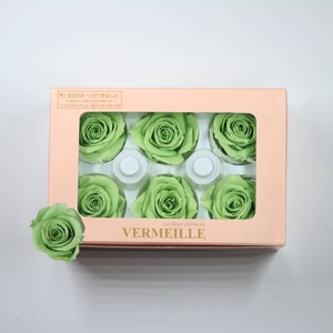 Rose Ines Prairie Green