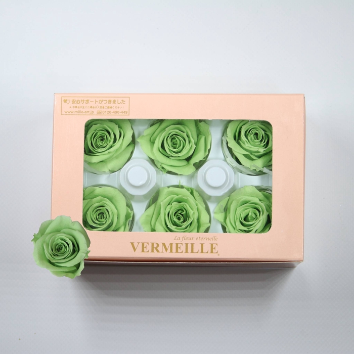 Rose Ines Prairie Green