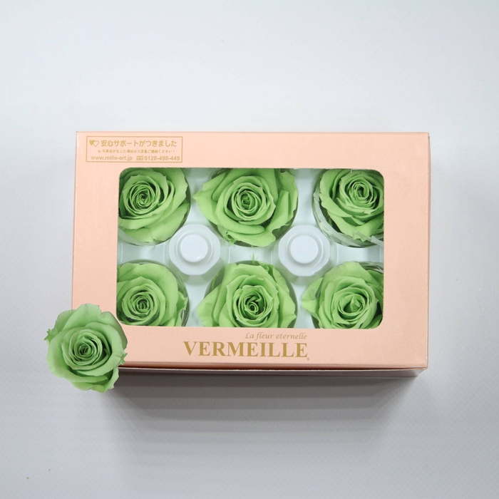 <h4>Rose Ines Prairie Green</h4>