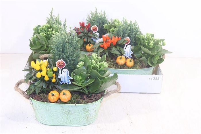 <h4>ARR TUINPLANTEN</h4>